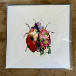 Ladybird Greeting Card